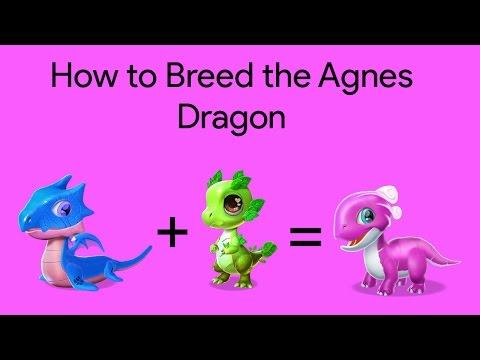 How to Breed the Agnes Dragon | DML Breeeding Guide #1