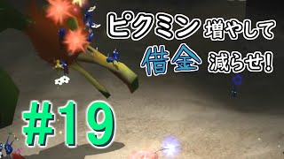 【ピクミン2】ピクミン増やして借金減らせ！# 19