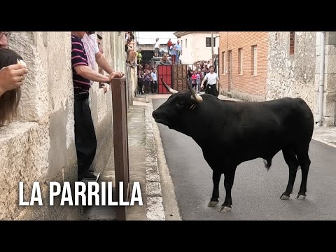 La Parrilla 2024 Toro del Cajón