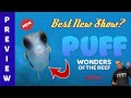 Puff: Wonders Of The Reef Preview! Netflix Documentary