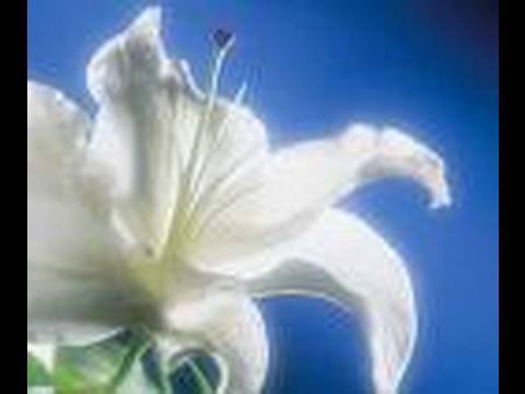 Dr Ira Byock; Saying 4 Things to Keep a Complete Relationship