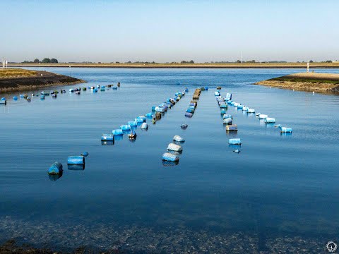 Zeeland - Anna Jacobapolder & Vuilnisbelt