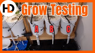 Ultimate Dutch Bucket Setup for Experiments