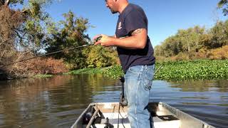 preview picture of video 'Catching Bass On A Spinner Bait'