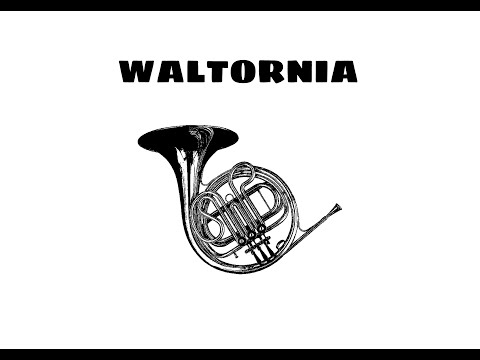 Prezentacja klasy waltorni w ZSM w Tarnowie