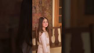 Gold Embellished Chiffon Peshwas - Video 1