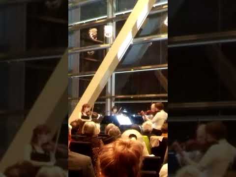 Janacek String Quartet No.1, 4th Movement