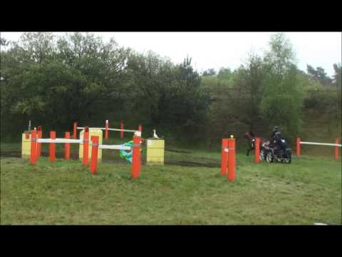 Fahrturnier Holdorf 2014 Wasserhindernis
