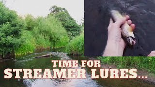 After the mayfly - great fun fishing the streamer lure on a small river! UK FLY FISHING