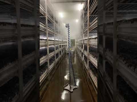  Spraying Systems Co's MiniFogger® III for efficient mushroom humidification