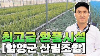 대한민국에서 가장 체계적인 묘목생산 시스템을 보고싶다면 ?? 대림묘목농원X함양산림조합의 케미를 느껴보세요~