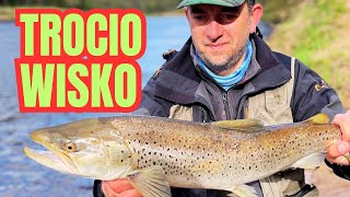 Trociowisko - sezon na trocie otwarty, wracamy z trociami