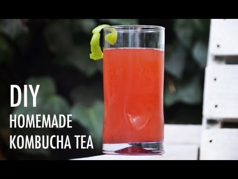 DIY Homemade Kombucha Tea Recipe