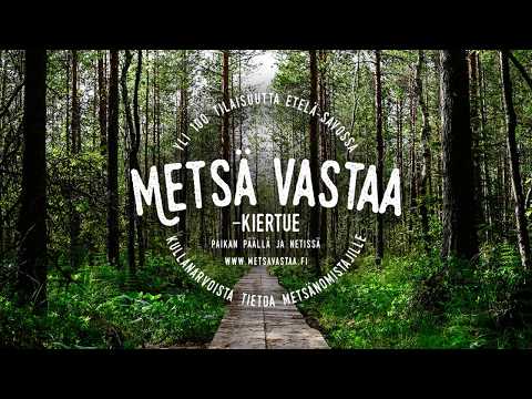 Metsä Vastaa -kiertue - Metsätien perusparannus