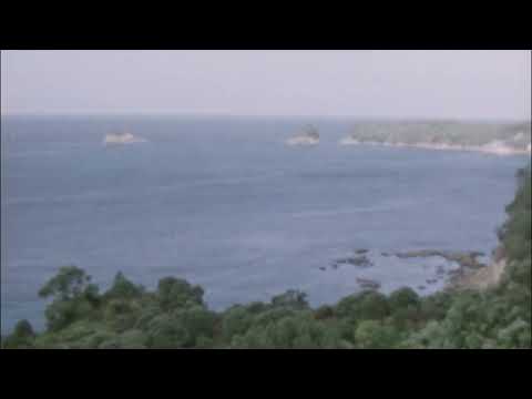 T-Boogz & Ricky Lix - Free Bully