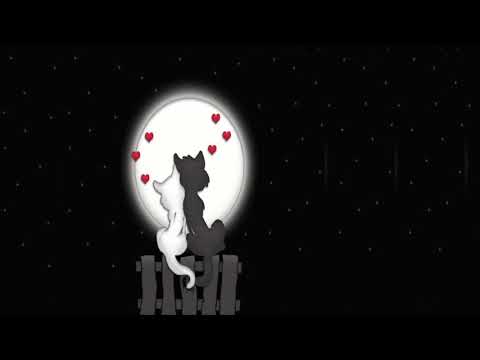 Paolo Cicuta   Sentimenti Ed Emozioni HIT MANIA ESTATE 2015