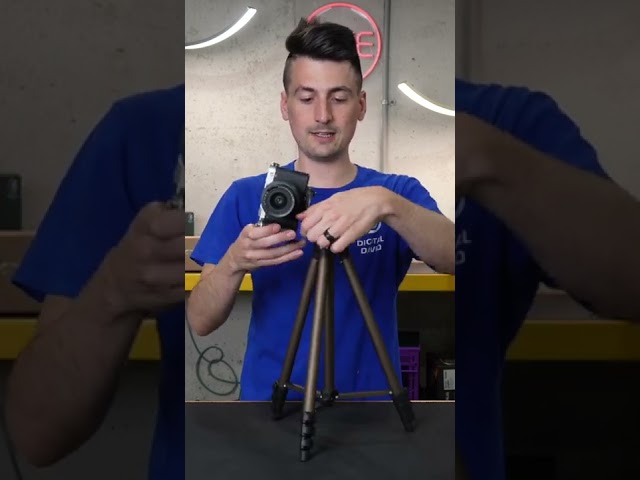 Vídeo relacionado con Amazon Basics Trípode para Cámara de 127cm/50in, Ligero, con Bolsa, Altura Ajustable, para Cámaras Réflex Digitales, Color Champán