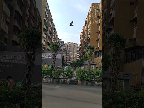 3D Tour Of Laxmi Avenue D Global City
