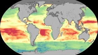 NASA | Earth’s Oceans Show Decline In Microscopic Plant Life