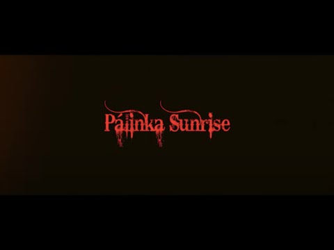 Geszti Péter és a Gringo Sztár: Pálinka Sunrise (Official Video)