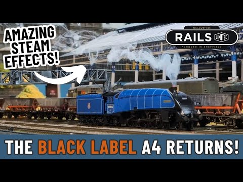 The INCREDIBLE Dapol 'Black Label' LNER Class A4 Returns! EXCLUSIVE to Rails of Sheffield