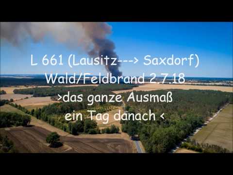 Wald- / Feldbrand Saxdorf 2.7.18  Das Ausmaß am Tag danach ...