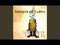 Alcohol by Barenaked Ladies