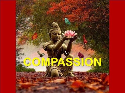 WHAT IS KARUNA (COMPASSION) - BHANTE PUNNAJI
