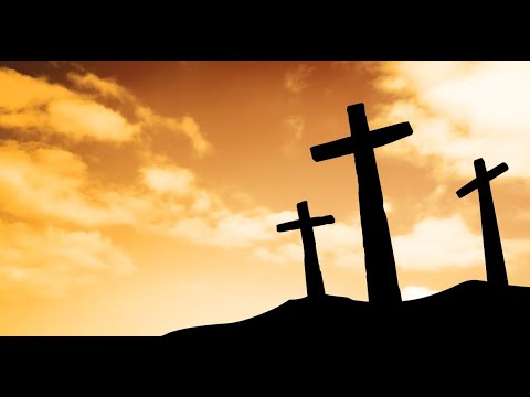 Hennie Van Zyl Roudiens