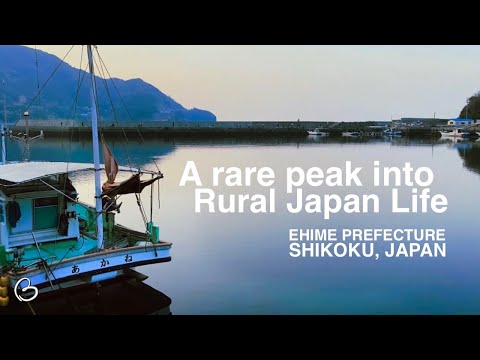 Abandoned houses, mortality and a natural life: Rare insider experience in rural Ehime, Japan