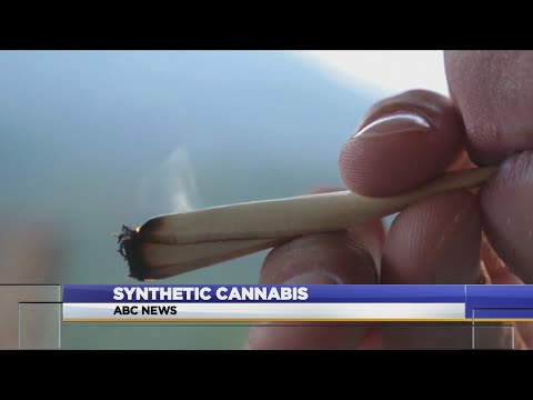 Synthetic Cannabis