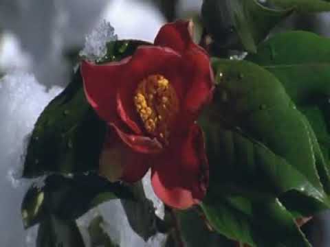 Durood-E-Taj Noor TV