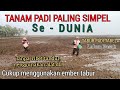 PLANTING TABLELA RICE Different From The Others This Is The Simplest