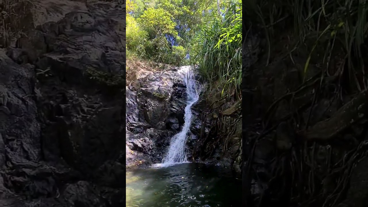 YouTube Short thumbnail