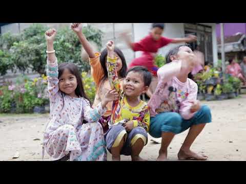 Regenerating Rainforests