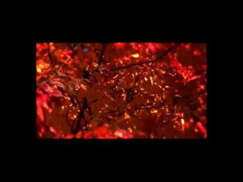 Ramana Maharshi - Ego/Mind.