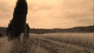 The Icarus Account: Safe