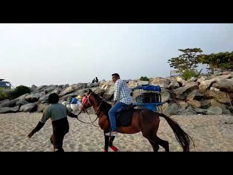 Amrita puri beach kollam kerala hores traveling beach area