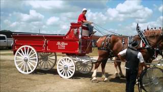 preview picture of video 'Monroe County Fair 2012 in Tomah, Wisconsin'