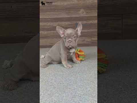 Video 5