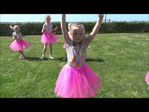 Dansplezier Langeraar - Elke dag Jarig