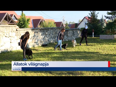 Híradó - 2021.10.04. - Hétfő - SopronTV