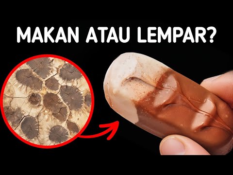 200 Fakta Menarik untuk Memberi Makan Otak Anda
