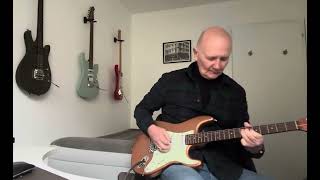 The Heater The MUTTON BIRDS COVER  🇳🇿