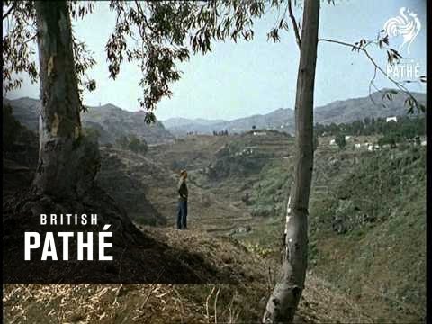 Out Takes / Cuts From Cp 410 - Canary Islands  (1962)