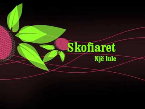 Skofiaret-Një lule