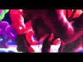 Care Bears Forever Young Song