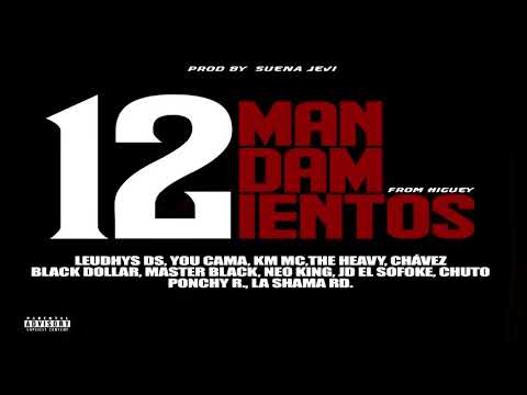 12 Mandamientos From Higuey ❌ La Romana