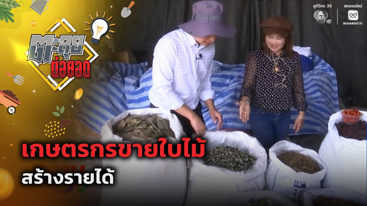 เกษตรกรขายใบไม้ สร้างรายได้ | ตะลุยต่อยอด