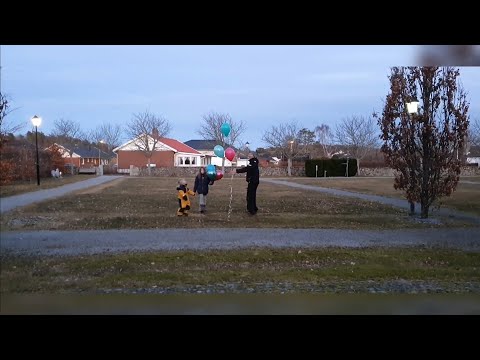 Födelsedagar, barnmorskebesök och blomsterlandskaos!